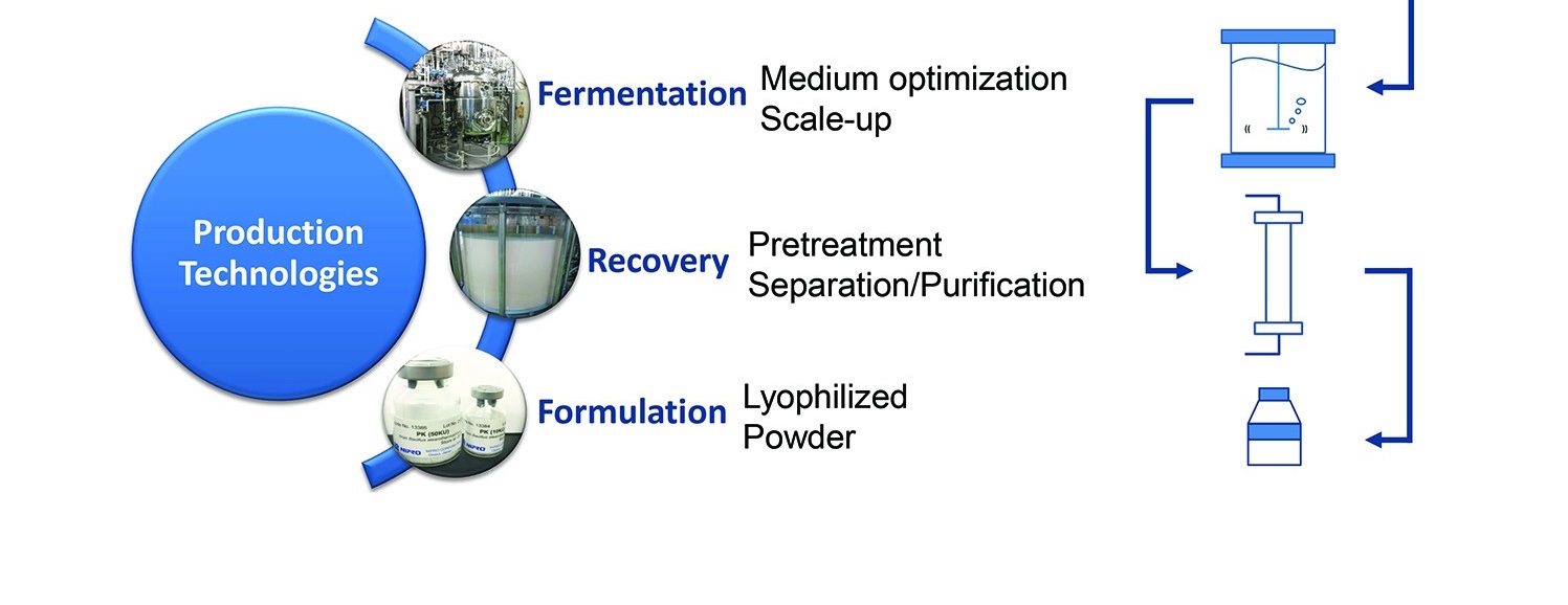 Enzymes bottom part