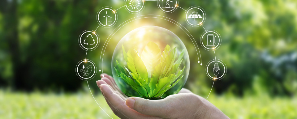 sustainability-NPG-NPI
