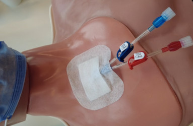 Central Venous Catheter Management 