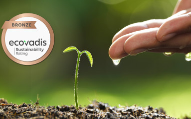 Sustainable excellence Ecovadis