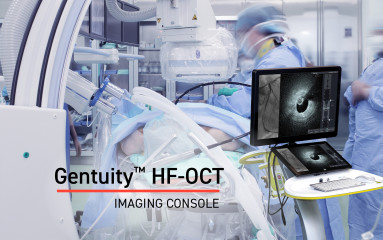 Gentuity HF-OCT FDA 510K