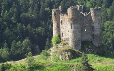 evertreen_France