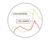 Why NIR Spectroscopy? - picture with cholesterol and collagen