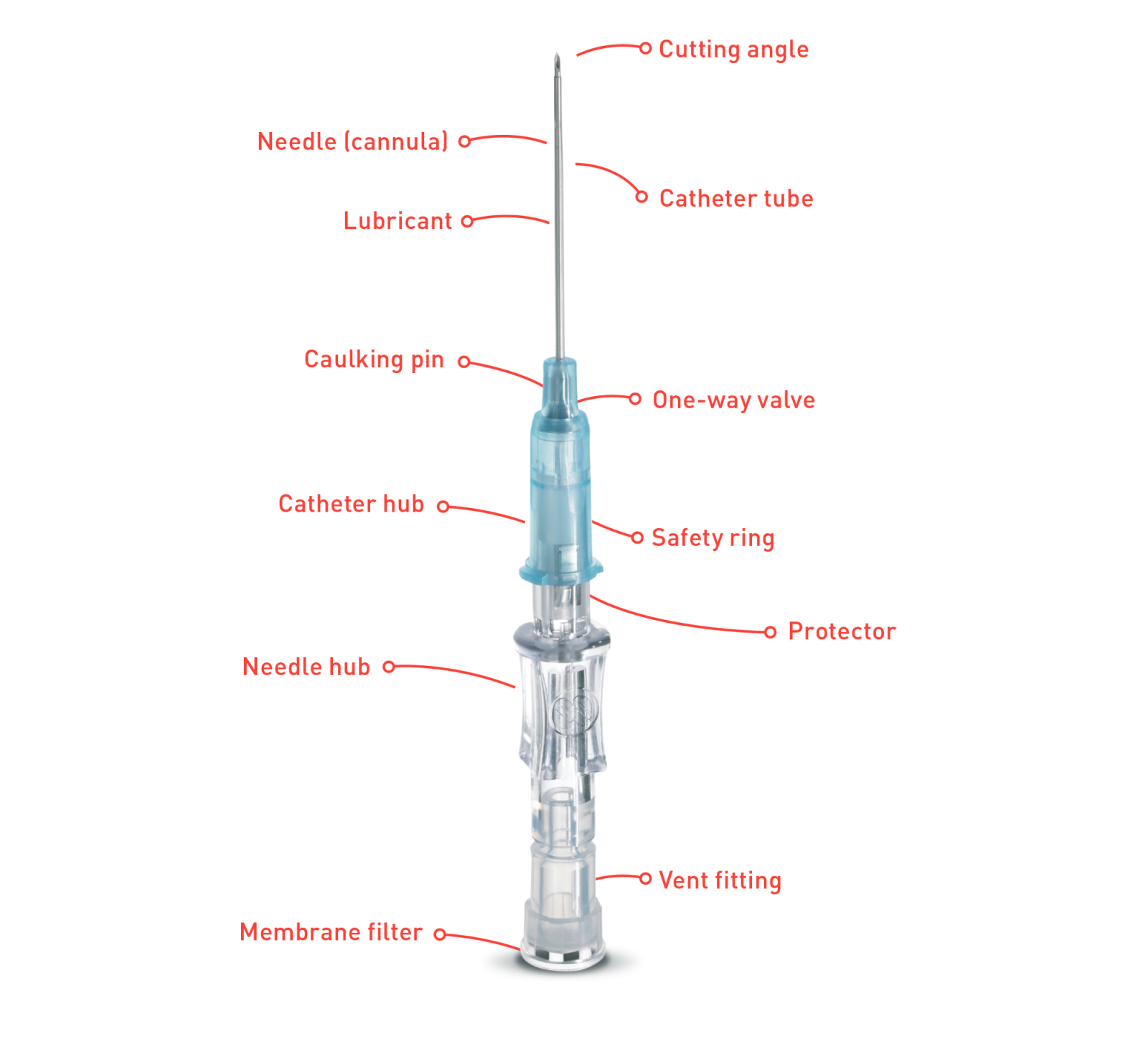 Standard IV Catheter - Diagram