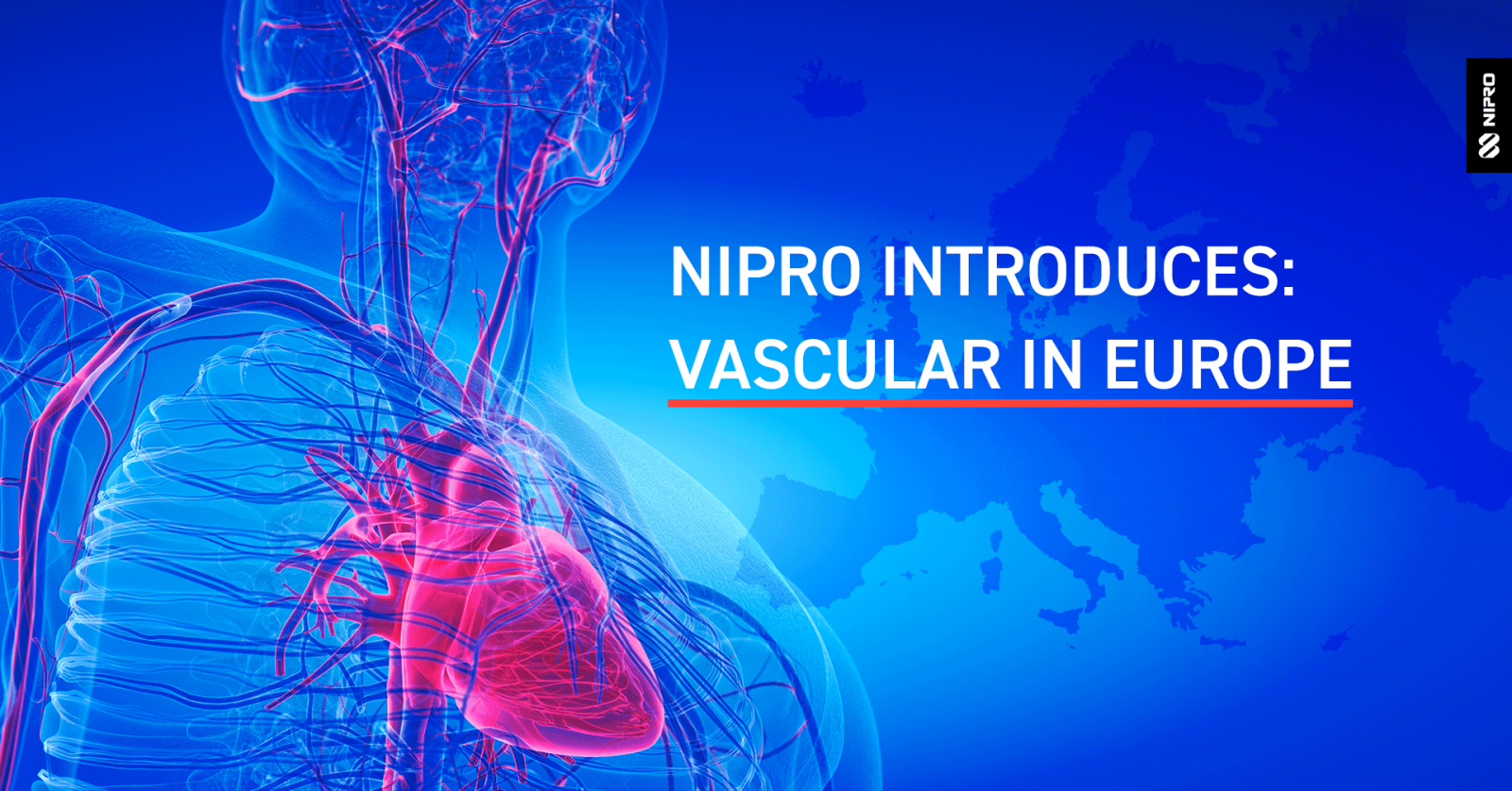 Vascular launch in Europe