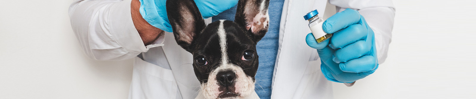 NPI - Website - Animal Health 04 - 1920x400.jpg