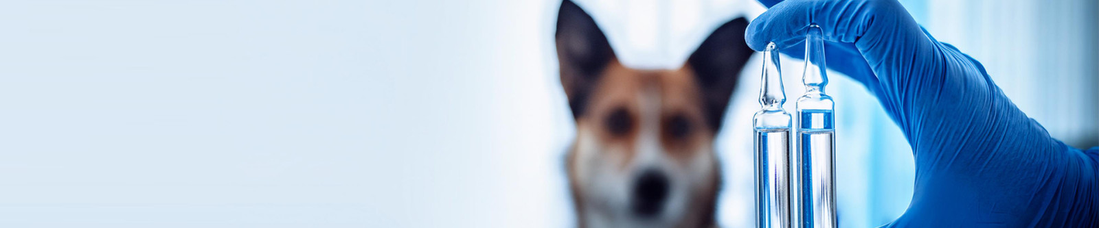 NPI - Website - Animal Health 05 - 1920x400.jpg